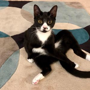 Meet your Posher, John